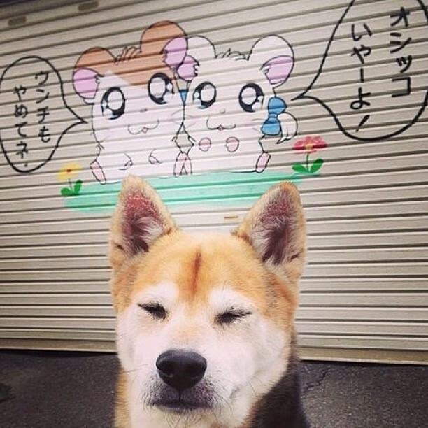 赛场边的故事：教练的战术调整带来奇迹，赛场上的教练