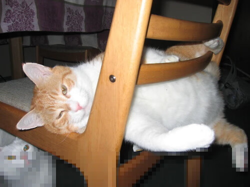 强队对决！欧洲预选赛中的焦点对抗引人关注，欧洲预选赛比分预测