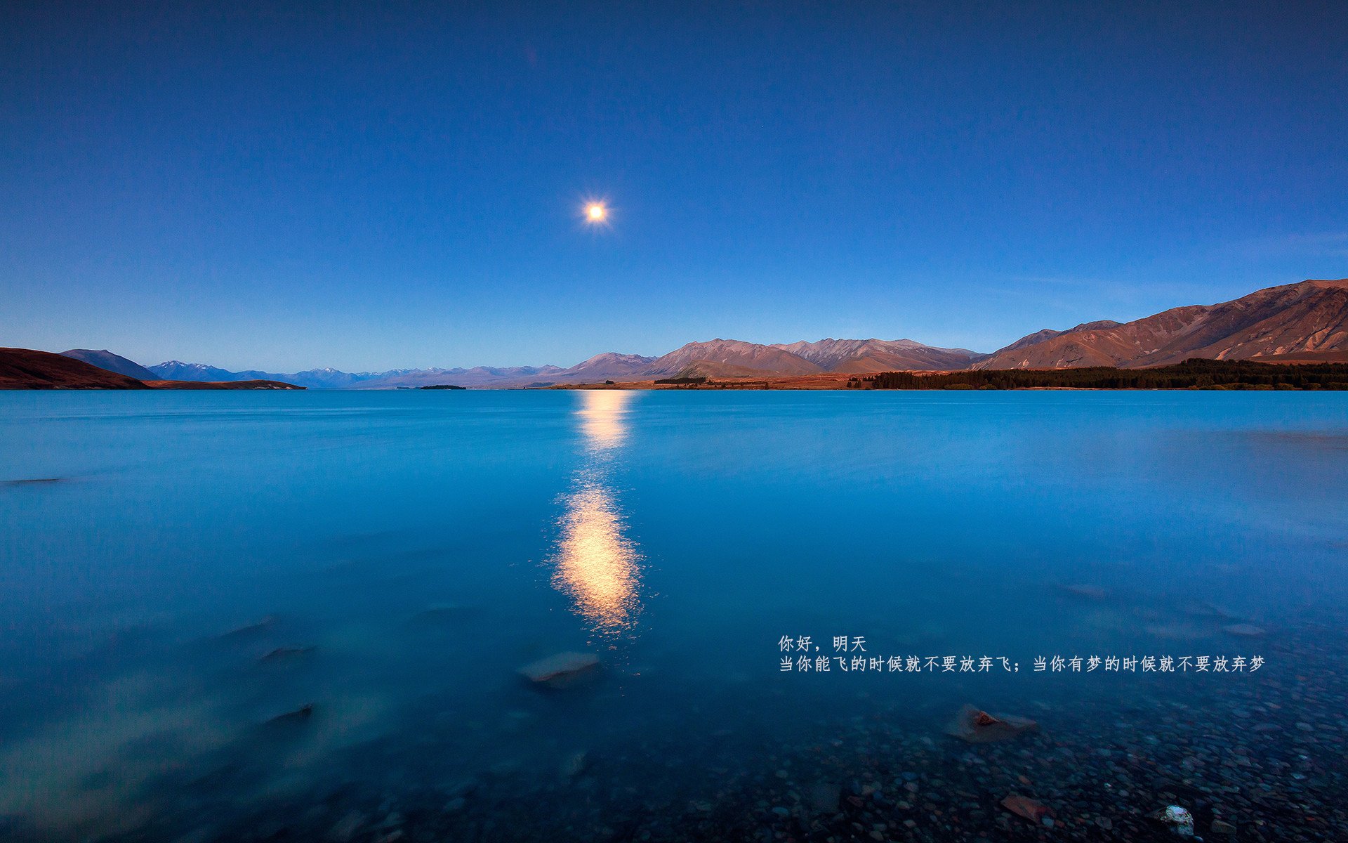 德赫亚回归马德里竞技，德赫亚球队