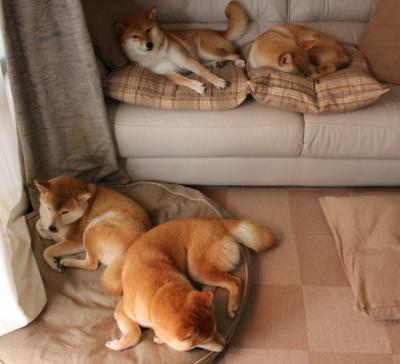 扎卡里·里萨谢（Zaccharie Risacher）成为2024年NBA选秀状元，nba下赛季选秀状元热门