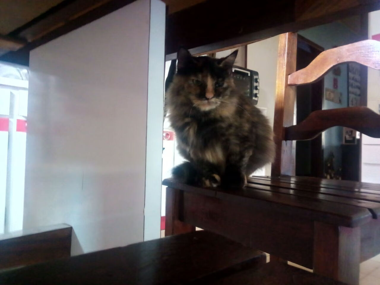 足球职业联赛冠军角逐激烈，豪强争霸，足球职业联赛是什么意思