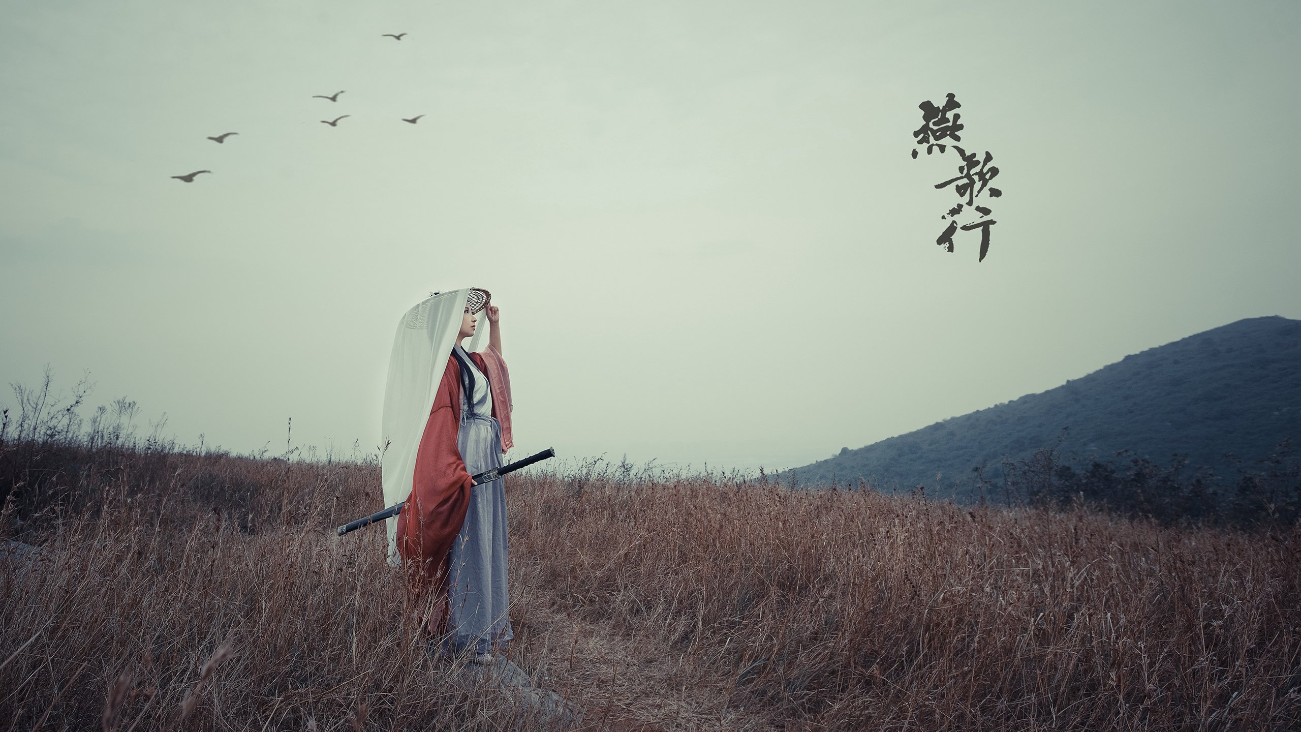 新闻中心新产品重磅发布，新品发布的新闻稿