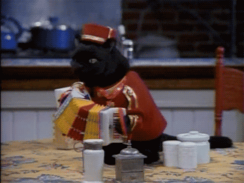 美国乒乓队未来发展蓝图：加强青训体系与国际合作，美国 乒乓球