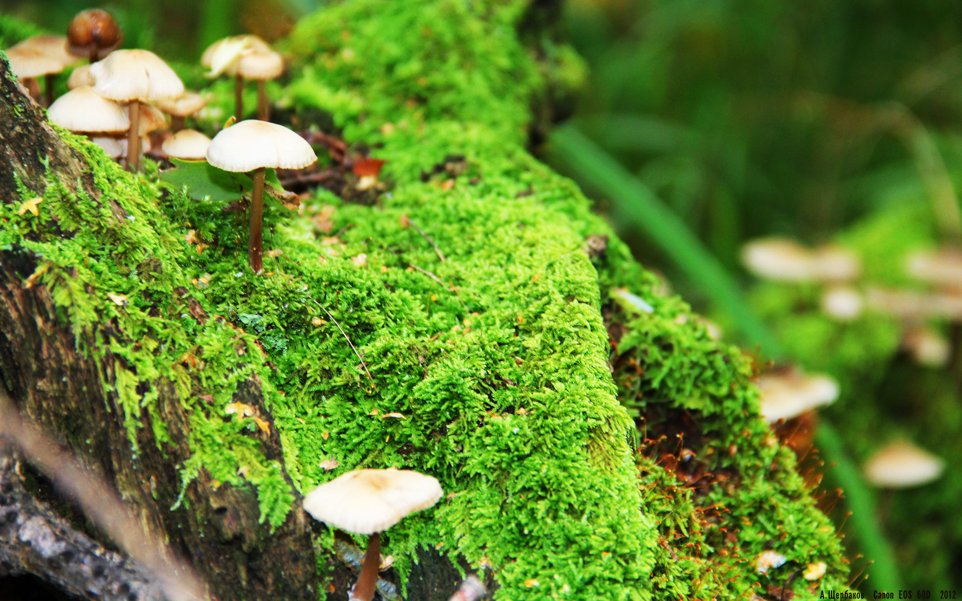 马竞通过防守稳定压制对手进攻节奏，马竞战术打法