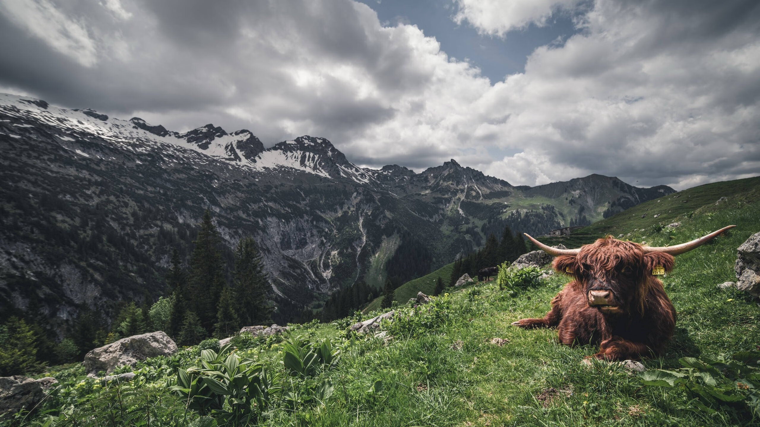 中国足球国家队开展跨项目交流提升训练理念，足球训练跨栏怎么用