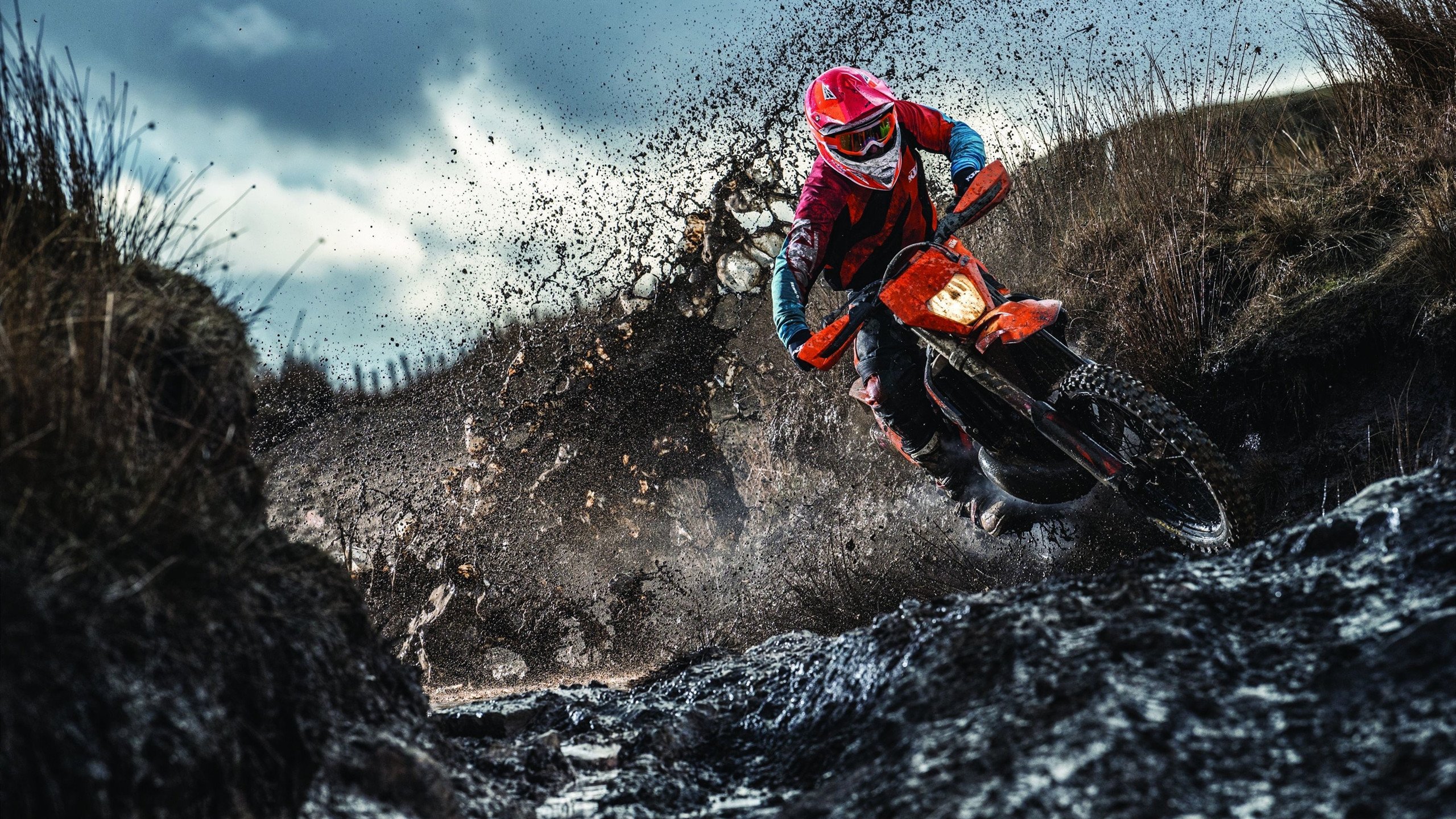 拳击比赛冠军归属悬念丛生，拳击手冠军