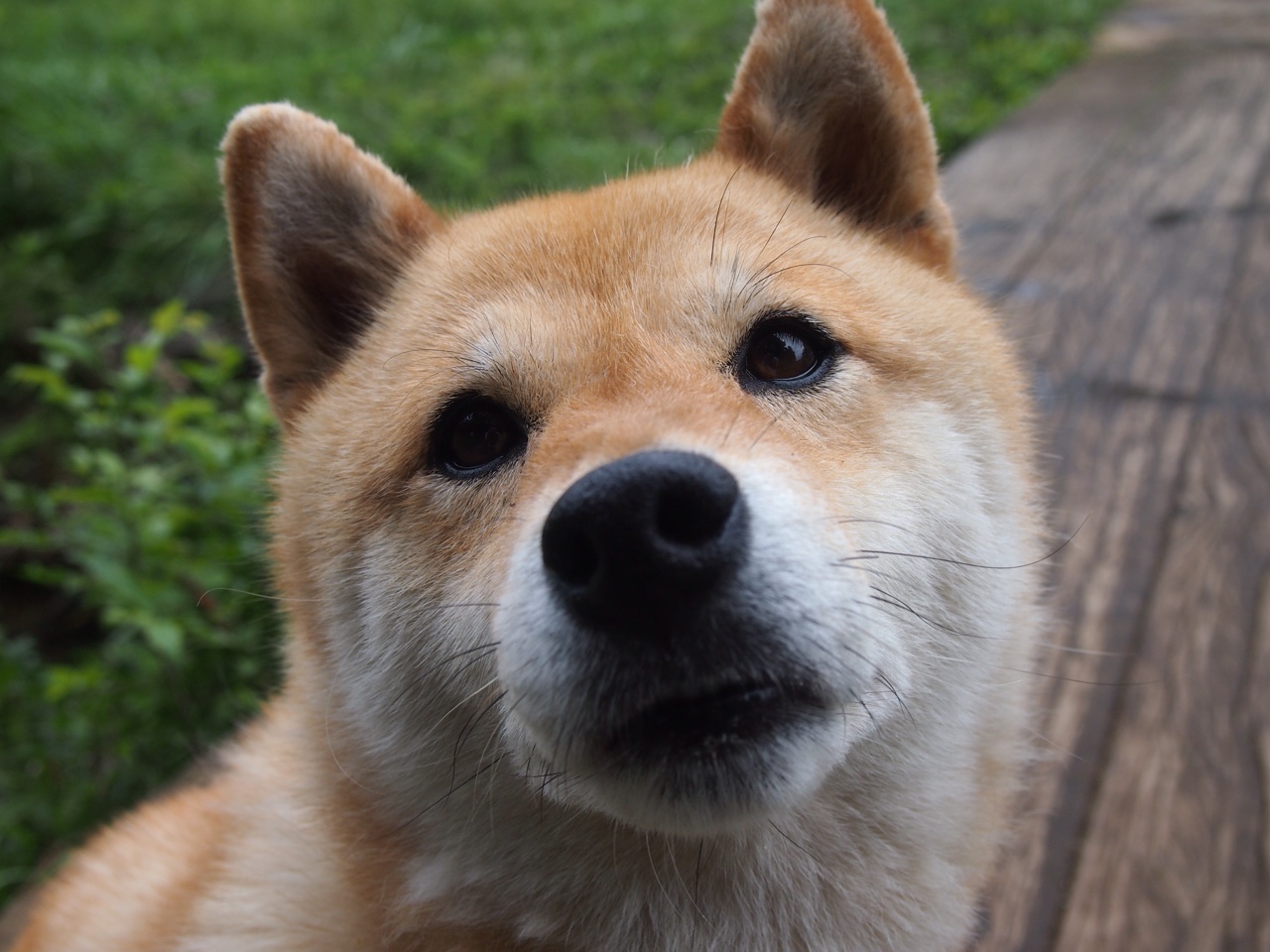 李娜谈职业赛场最难忘的一场失利，李娜 冠军